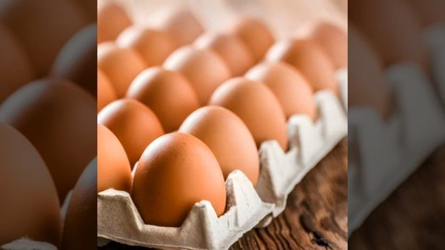 яйко 1 час смотреть онлайн