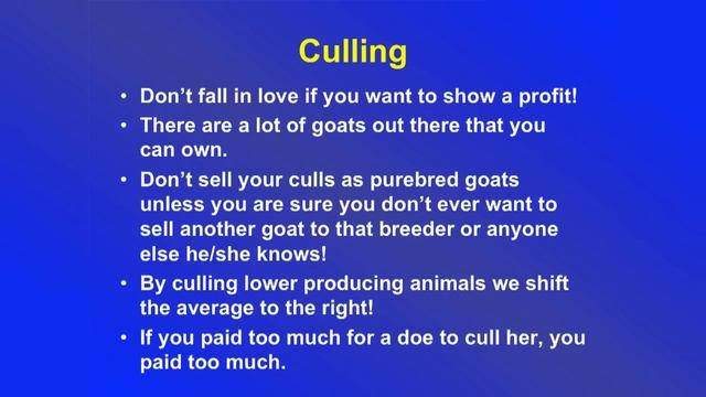 Meat Goat Selection смотреть онлайн