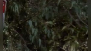 Обзор фильма Телепорт