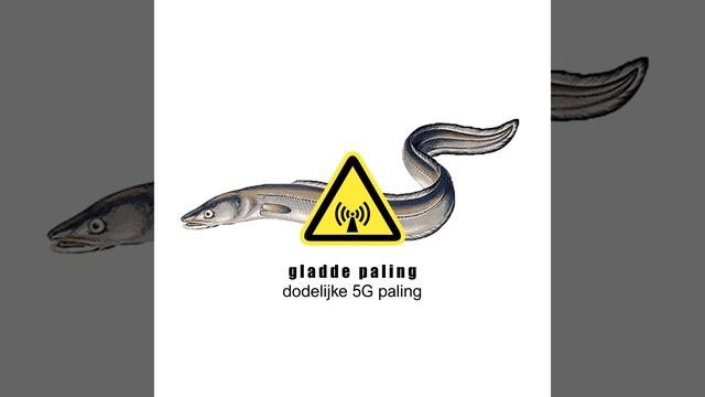 dodelijke 5G paling смотреть онлайн