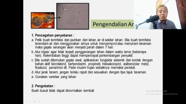 HPT tanaman cabai lengkap смотреть онлайн