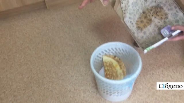 Прощай, Пицца Синица смотреть онлайн