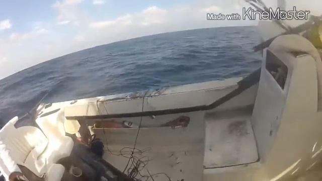 Picudos Blue marlin Manta -Ecuador смотреть онлайн