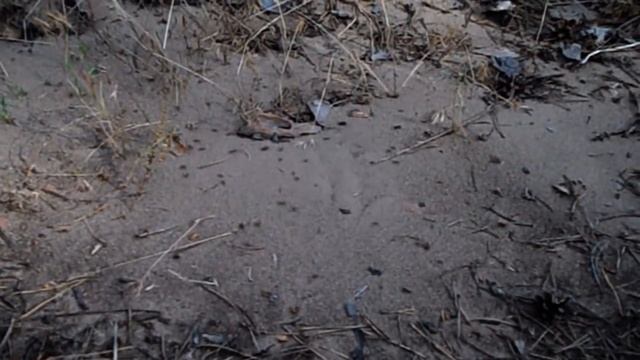 САМВЕЛ ОТВЕТИЛ ЭДИКУ. НОЧЁВКА С GRANDENIKO В СЕЛЕ