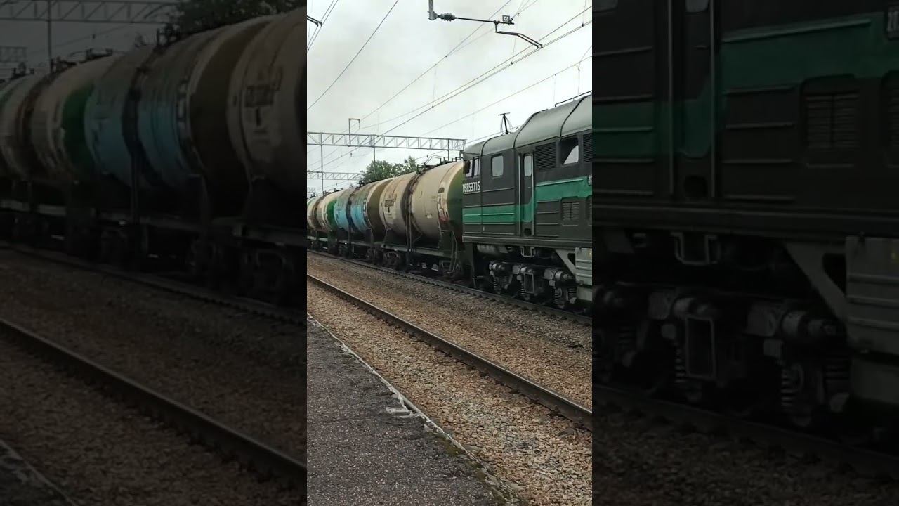 Вот это звуки #5 смотреть онлайн