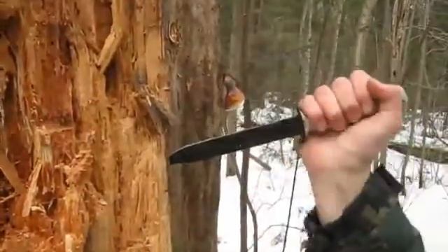 glock 78 Ковыряние длинного пня. смотреть онлайн