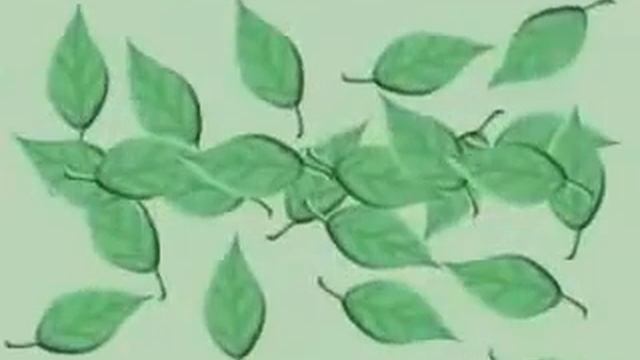 Photosynthesis Song By Peter Weatherall смотреть онлайн