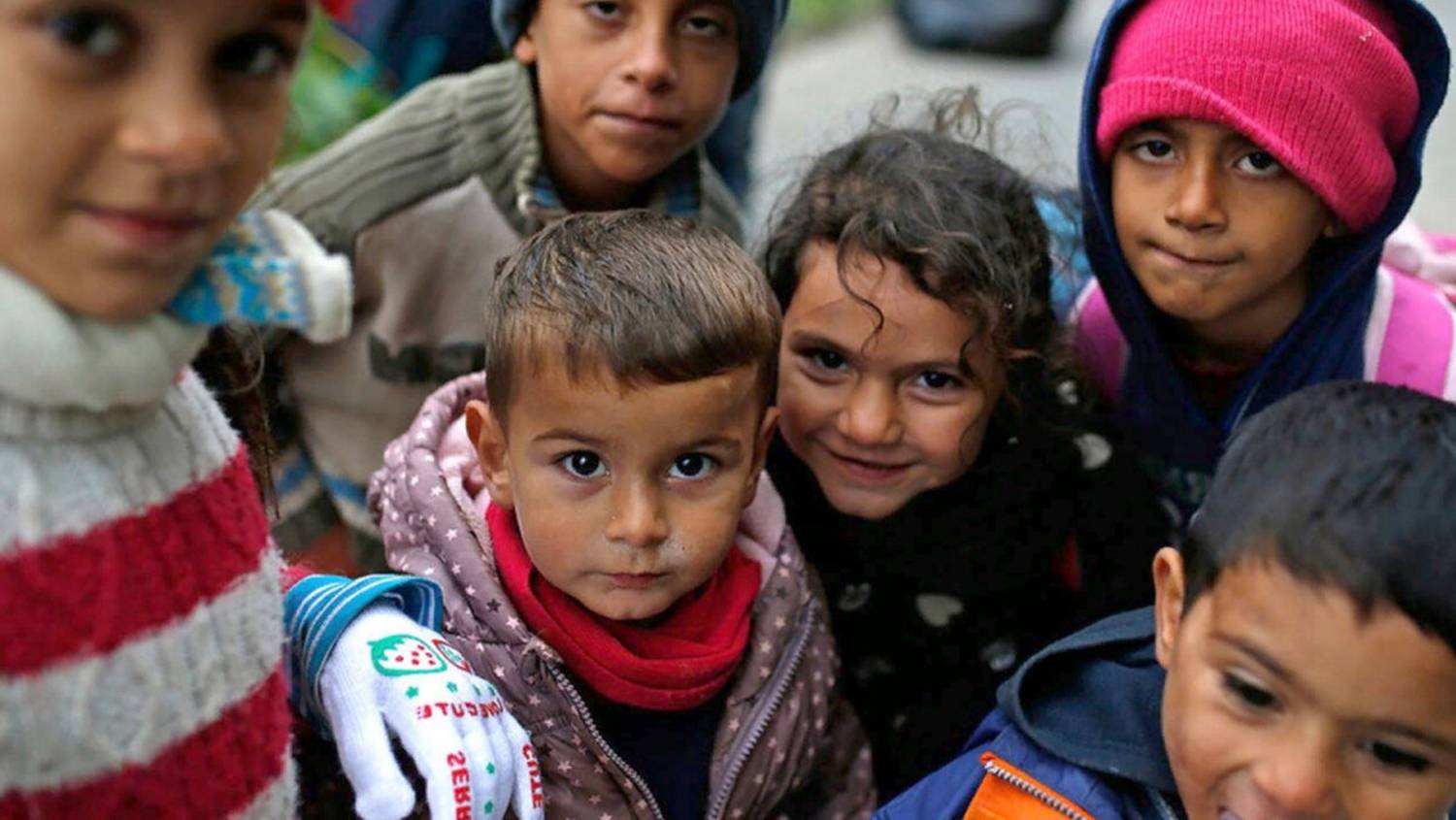 Ждите резкий рост этнической подростковой преступности или берите в школу без знания русского языка смотреть онлайн