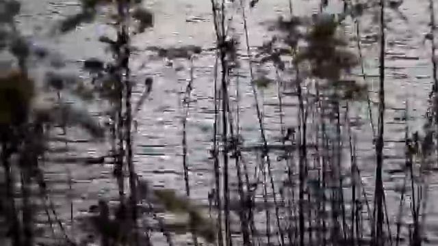 Зимни движения смотреть онлайн