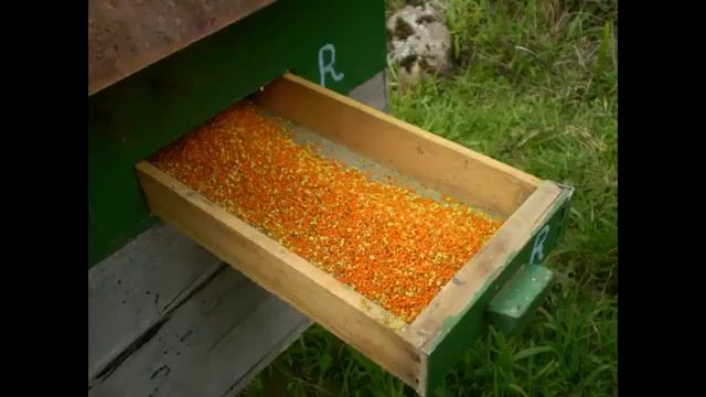 Apiário Rainha da Flor Orgânicos смотреть онлайн