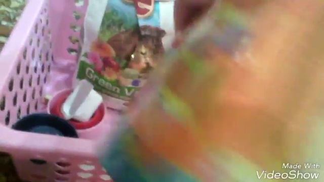Уход за морскими свинками смотреть онлайн