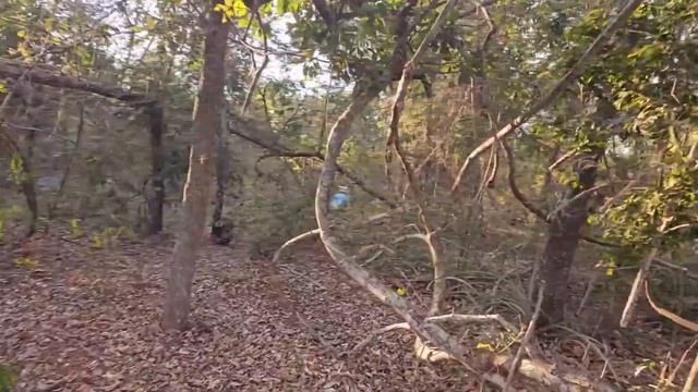 VOLTANDO DE VIAGEM | PEGOU FOGO NO SÍTIO 🔥