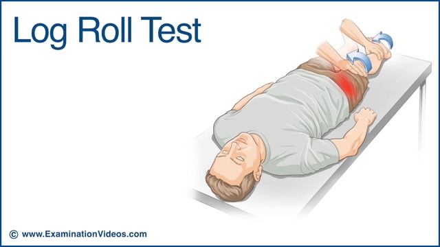 Log Roll Test смотреть онлайн