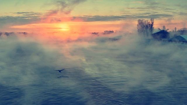 Skyphos - Just Glide смотреть онлайн