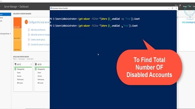 How To Find Domain Users Count Info in Active Directory Using PowerShell Windows Server 2022 смотреть онлайн