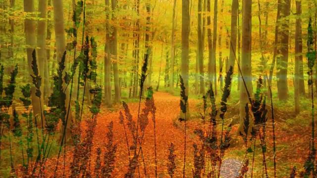 Classical Sleep Music, Music For Sleeping, Classical Music, Deep Sleep, Relax Music, ♫E197