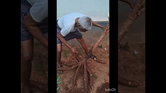 Hi guys nammale vitil undaye kappa kanddalo kutti Karsika smayasanesh🥰 смотреть онлайн