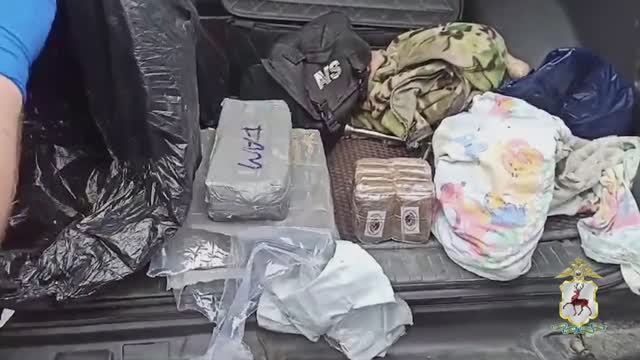 Итоги операции "Чистое поколение - 2024" смотреть онлайн