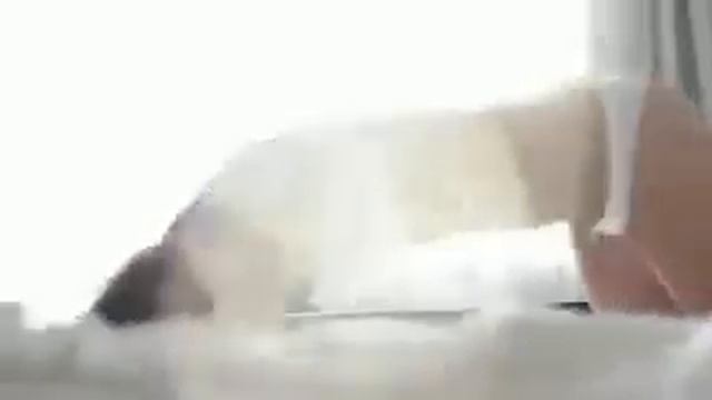 Легкая еротика смотреть онлайн