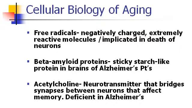 Aging2a смотреть онлайн
