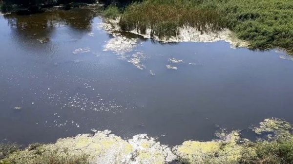 Между огнем и водой