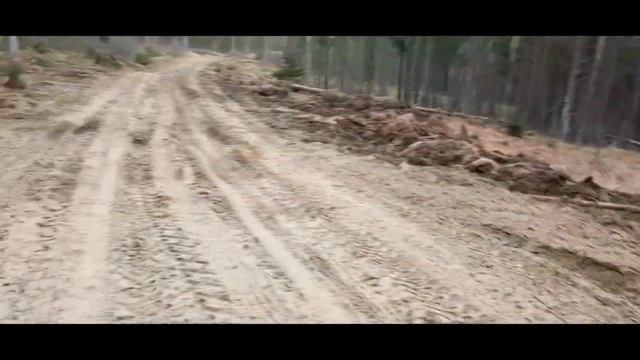 Поход на озеро "Ярви" часть вторая смотреть онлайн