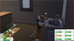 The Sims 4 Кошки и собаки #1 Знакомимся