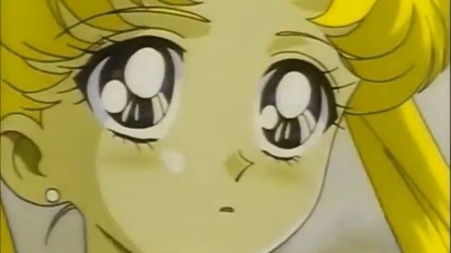 Sailor Moon  Sailor Starlight