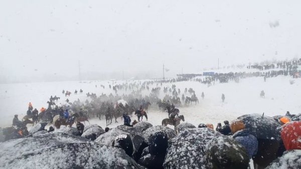 БУЗКАШИ ДАР ФАЙЗОБОД.