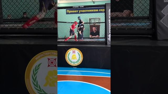 Смешанное единоборства (ММА) смотреть онлайн