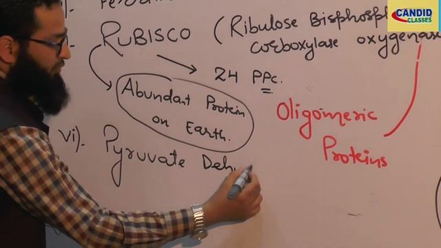 CANDID CLASSES Zoology 11th # BIO-MOLECULES topic PROTEINS (Part-1) смотреть онлайн
