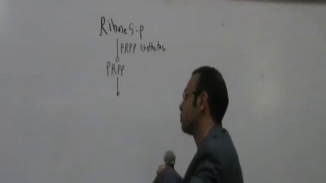 3)Dr.Mohamed El Sebaie 6/4/2015 [regulation of purine synthesis - catabolism of purines - disorders смотреть онлайн