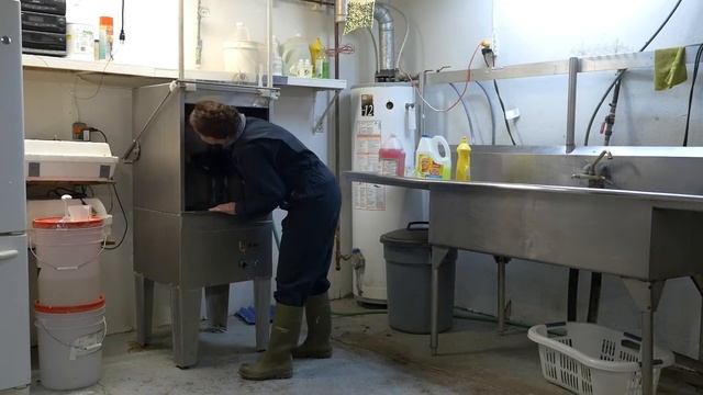 Egg Washing Part 4 – Keep equipment clean
