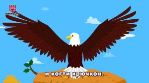 Орёл. 🦅 Стремительный орёл.