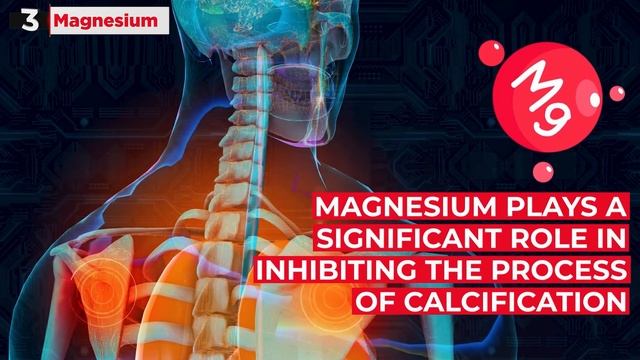 BEST 7 Vitamins To Stop Calcium Plaque In Your Arteries and Heart FAST! смотреть онлайн