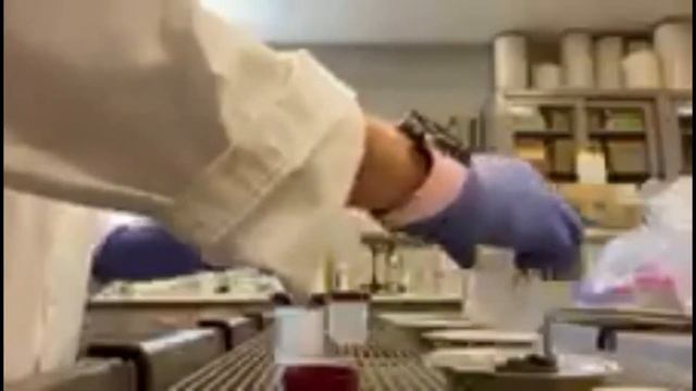 Processing Benthic Ash-Free Dry Mass (AFDM) Samples in the Lab - Stream Ecology смотреть онлайн