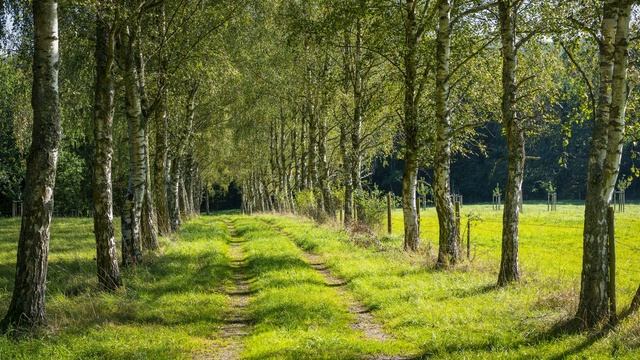 Красивая мелодия до слез! Самая красивая музыка на свете! Нежная музыка для души и жизни