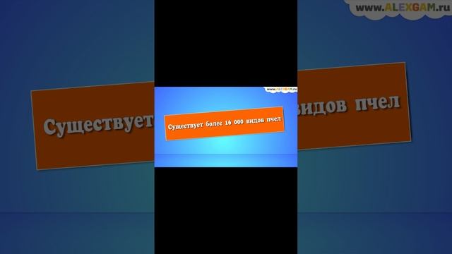 Что если все пчелы вымрут? смотреть онлайн