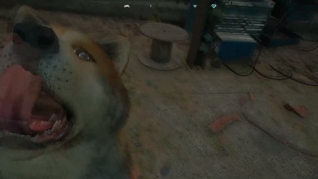 Far Cry New Dawn Приласкал собаку смотреть онлайн