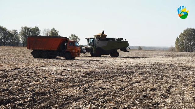 Земляне и студенты а Рязани смотреть онлайн