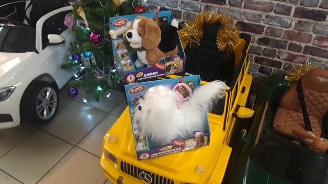 4 декабря 2020 г. смотреть онлайн