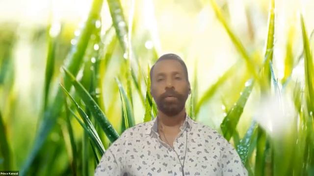 Transform emotional imbalances into your Power Resource смотреть онлайн