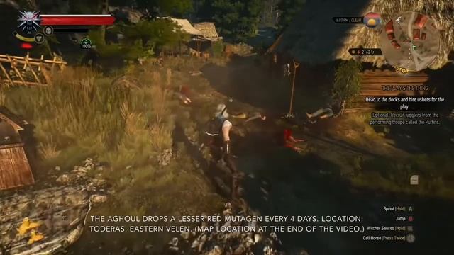 Witcher 3 - Red Mutagen Farming Location in Velen - 2020 смотреть онлайн