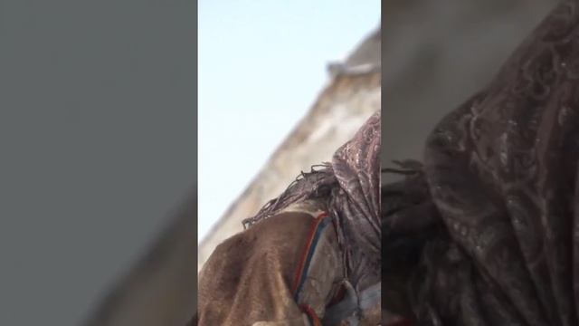 🤔 Как кочуют оленеводы кочевники. Что такое аргиш. Интересные факты