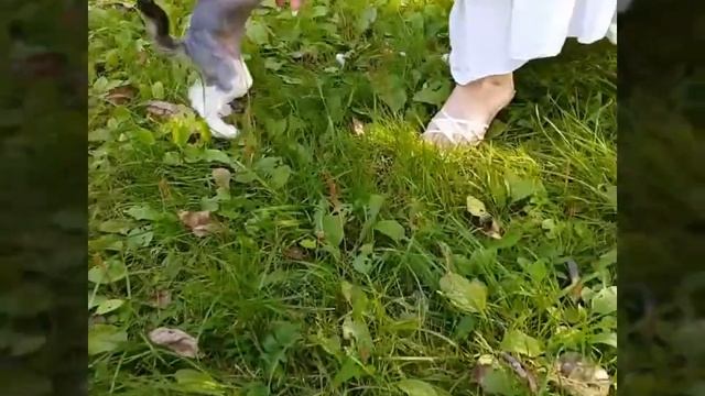 Верьте в чудеса смотреть онлайн