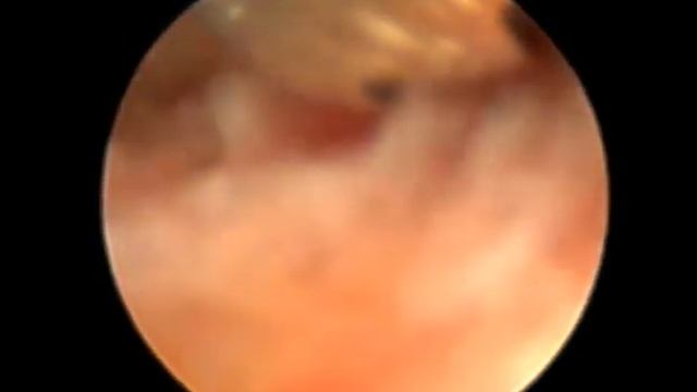 VID0001 смотреть онлайн