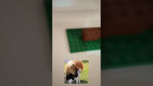 лего капибаара 🥰🥰🥰 #лего #капибара