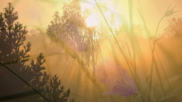 949. 🎼. Abel Korzeniowski - «A Thousand Times Good Night» смотреть онлайн