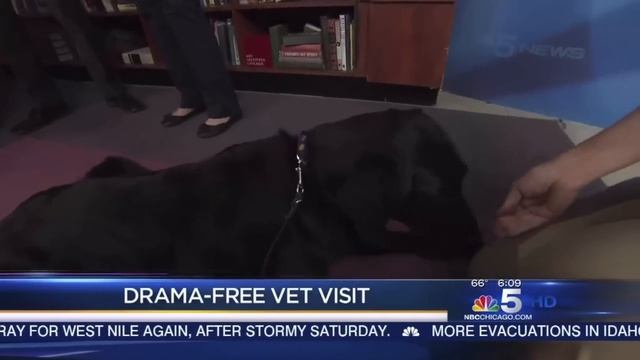 Laura Monaco Torelli and Dr. Kelly Ballantyne on NBC5 August 2012 смотреть онлайн