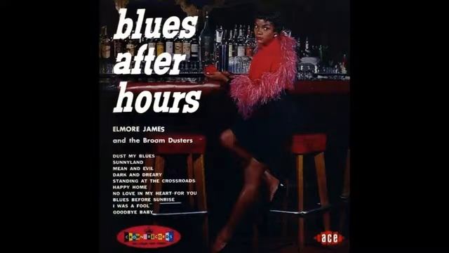 Elmore James and the Broom Dusters "Sunnyland" смотреть онлайн